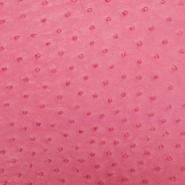 OSTH.Indian Pink.02.jpg Ostrich Hides Image